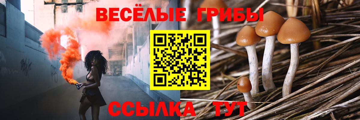 Псилоцибиновые грибы ЛСД Подольск